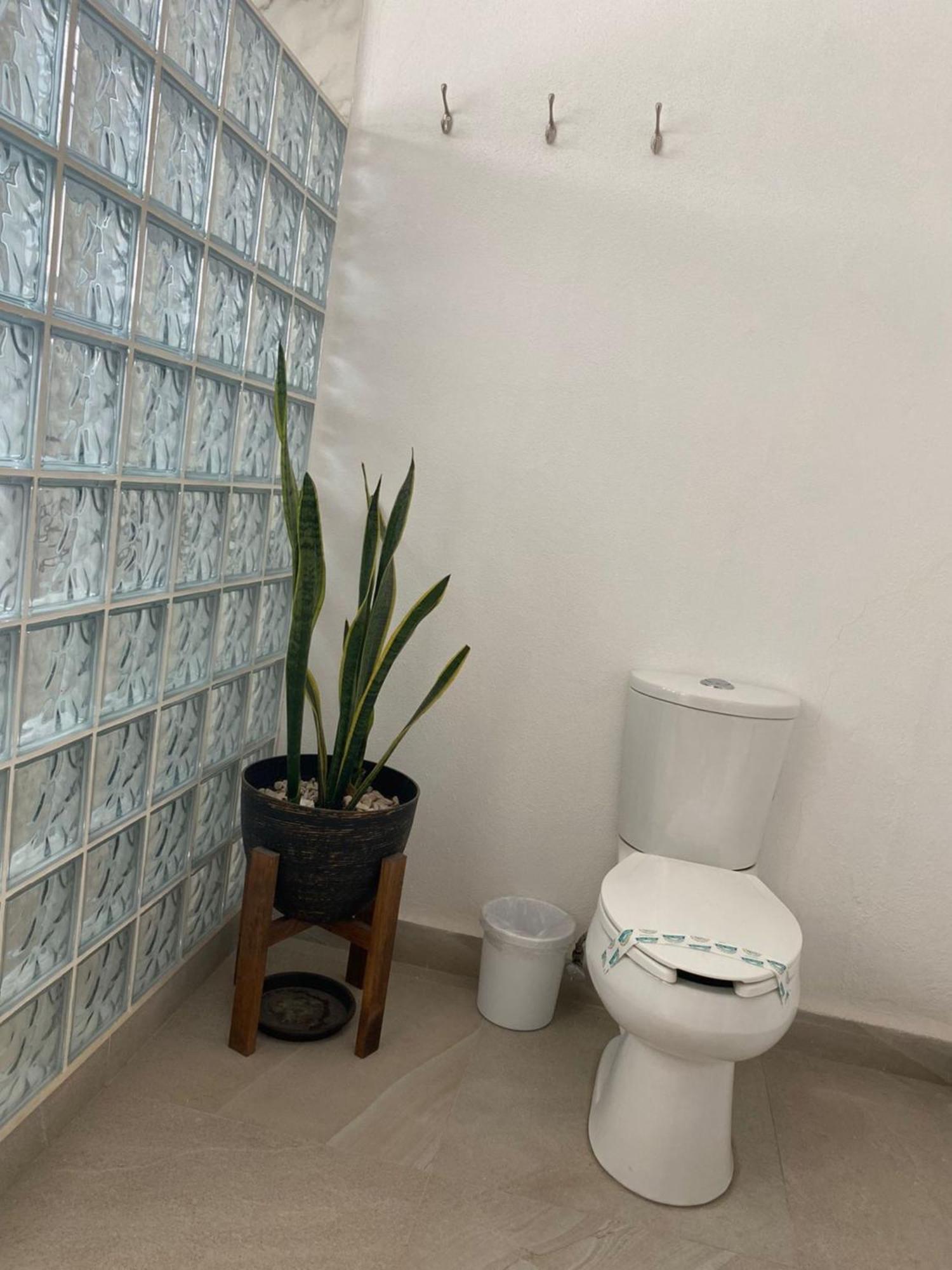 Hotel La Lejona Σαν Μιγκέλ ντε Αγιέντε Εξωτερικό φωτογραφία
